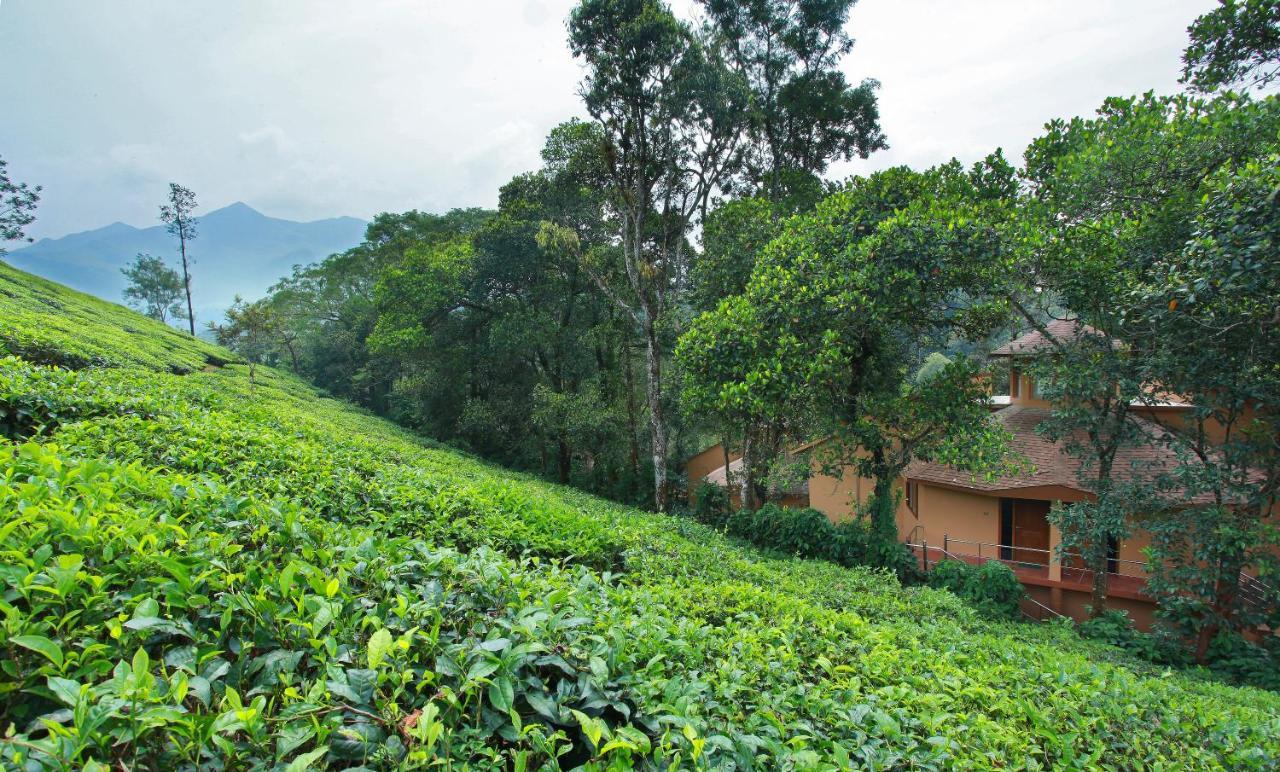 Village Resort 5*